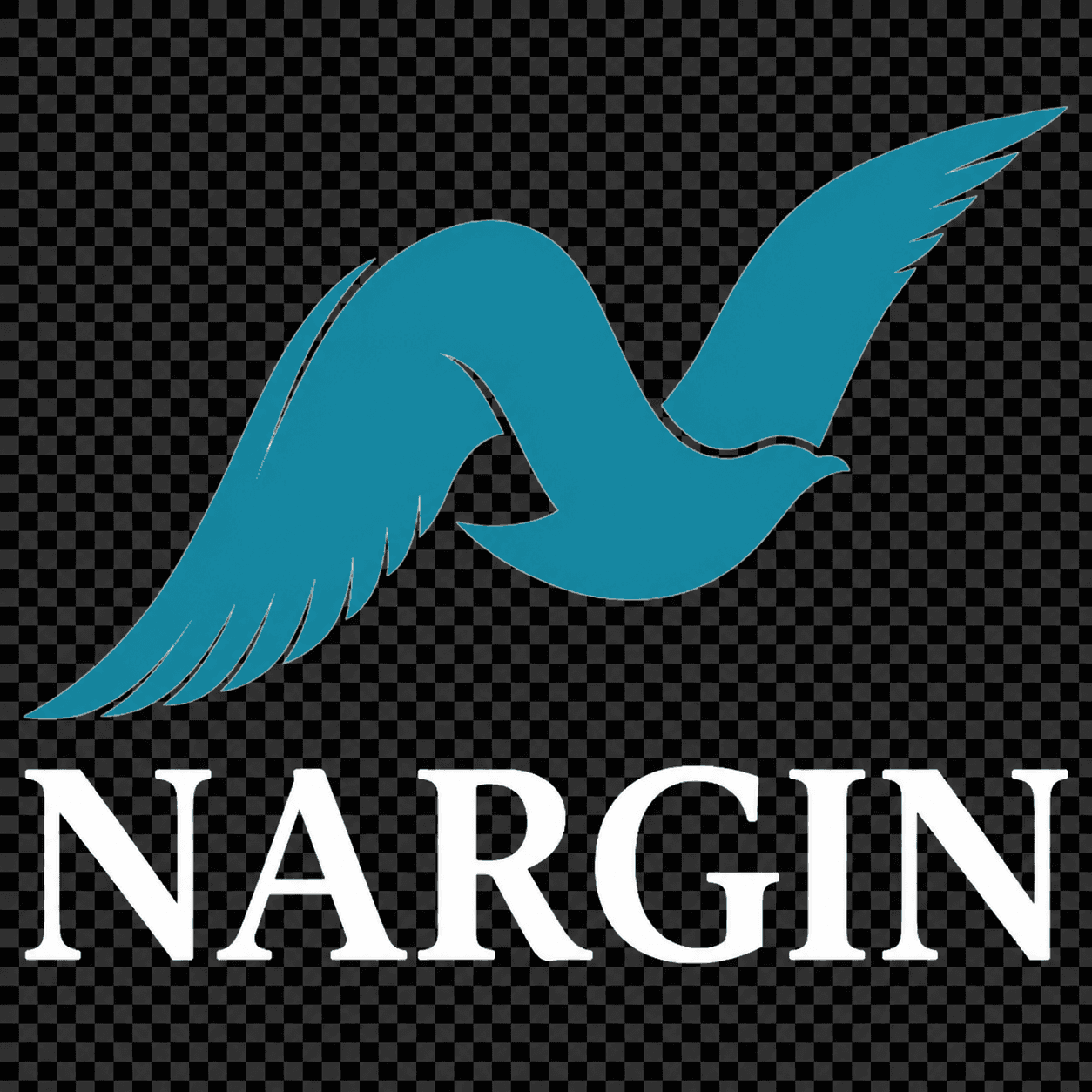 NARGIN